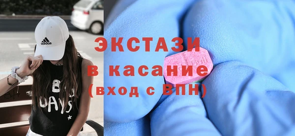 ECSTASY Богородицк